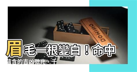 眉毛一根變白 墓碑材質